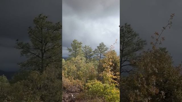 ⚠  Торнадо. Погода сегодня в Стар-Вэлли (Аризона, США, 19.11.2023). ⚠ Tornado. Weather Forecast.