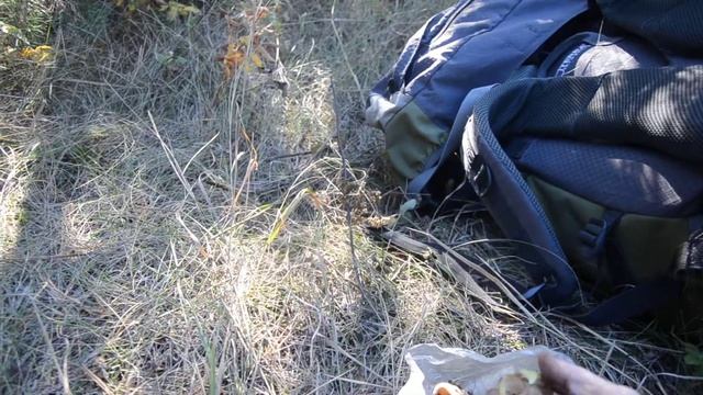 Новые съедобные грибы, октябрь, Кучугуры смотреть онлайн