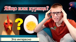 Что появилось раньше: курица или яйцо? Ответ на самый популярный логический парадокс Земли.