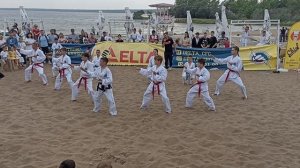 Показательные выступления тхэквондо. Клуб Delta.