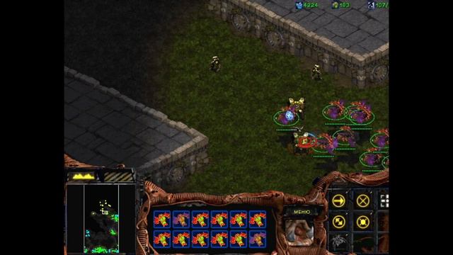 Классика  возвращается. Прохождение StarCraft часть 12 ( финал зерги )