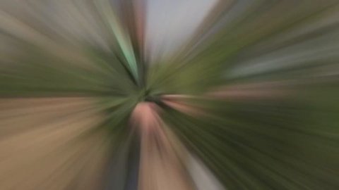 Туя . Как сажать туи