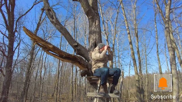 Bushnell Legend Monocular WITH RETICLE смотреть онлайн