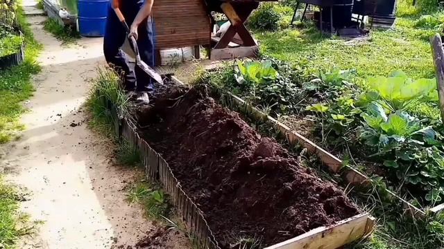 Грядка для клубники. Удобрение клубники. Посадка клубники. смотреть онлайн
