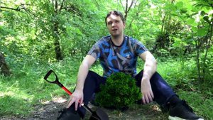 папич посадил дерево(ai cover papich)