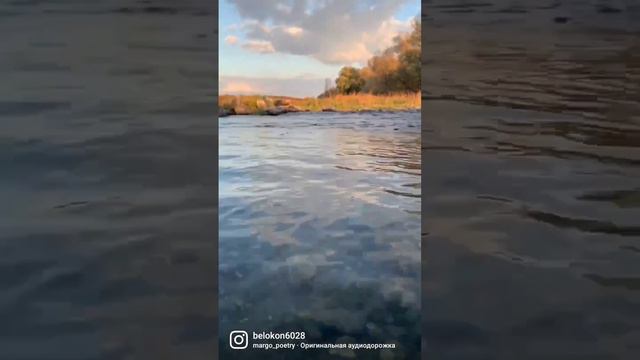 Время жить настоящим. Рудня. Волгоградская область #река #волгоград #vlg #красота #красотаспасетмир