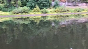 Yamaha 3 и байдбот-1