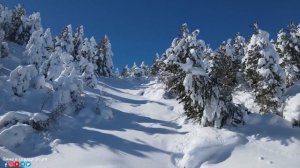 ВОССТАНОВЛЕНИЕ НЕРВНОЙ СИСТЕМЫ! Лечебная музыка для сердца и сосудов. Зимняя соната! Падал снегснег