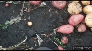 Жизнь на Урале. Кубань Выселки ТВ