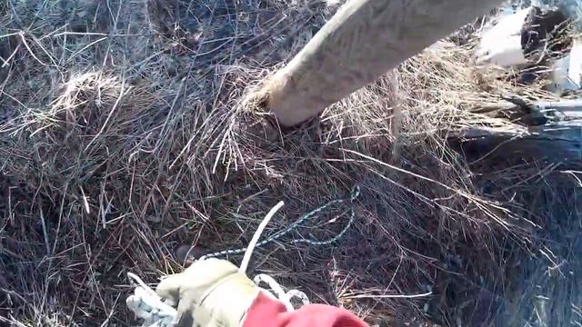 Апрель 2016. смотреть онлайн