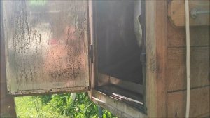 Судак горячего копчения .Азбука вкуса.