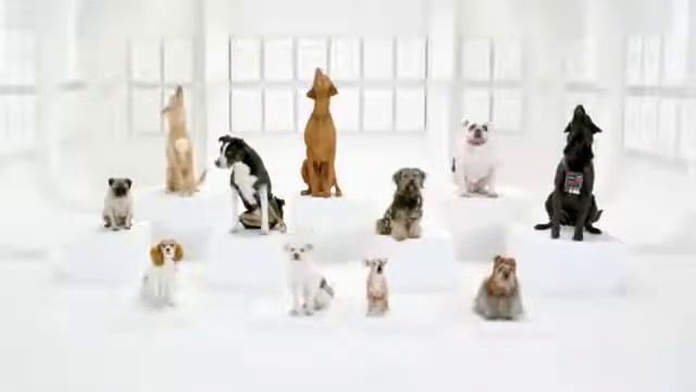 собаки поют смотреть онлайн