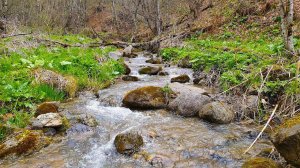 The Sound of Water in the Mountain River