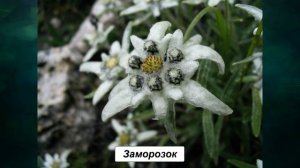 §20 "Атмосфера и человек", География 8 класс, Домогацких