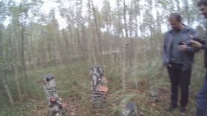 Выращивание Шиитаке на пнях. В гости приезжал tut.by - Мирное 38