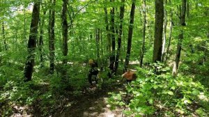 Поход май 2023г на Собер-Баш