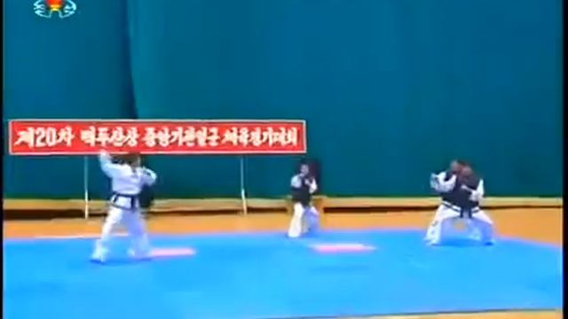 КНДР Турнир по тхэквондо среди работников центральных органов смотреть онлайн