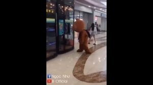 Tik-Tok-Gấu-Lầy-Những-Khoảnh-Khắc-Hài-Hư_51