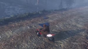 7 ЗОЛОТЫХ ЛОФОФОР В GTA 5