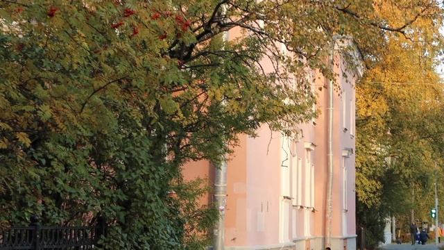 Silent VLOG: Осень в Петербурге: Петроградка, ул. Дибуновская смотреть онлайн