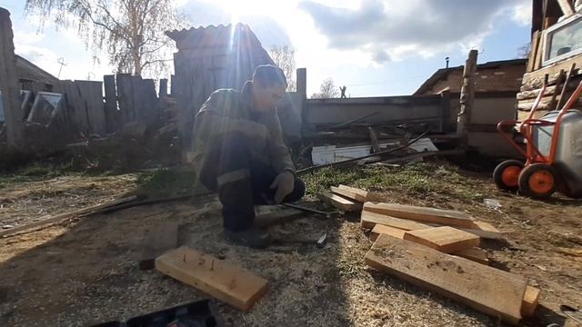 //Покупка породы ЙОРКШИР НА ПЛЕМЯ//