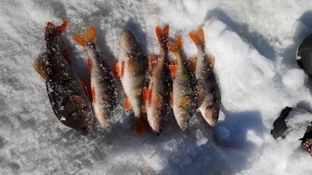 Рыбалка на Промежуточном. смотреть онлайн