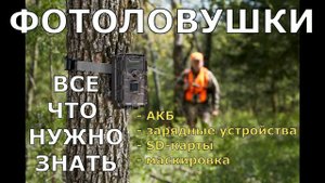 Фотоловушки 2 года применения АКБ, зарядки, SD карты, маскировка Все что нужно знать!