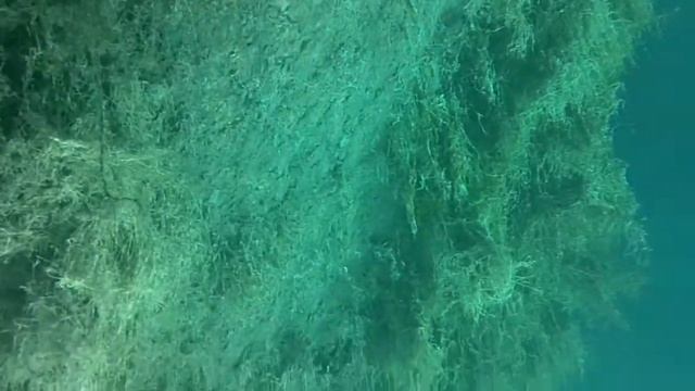 Kodak ZX3 Подводный тест смотреть онлайн