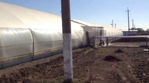 Тепличная пленка с наддувом