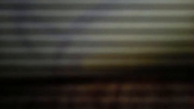 Размножение пауков