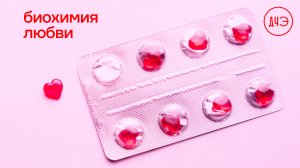 Что такое любовь с точки зрения науки?
