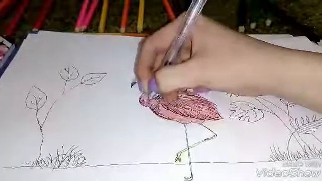 Рисунок фламинго