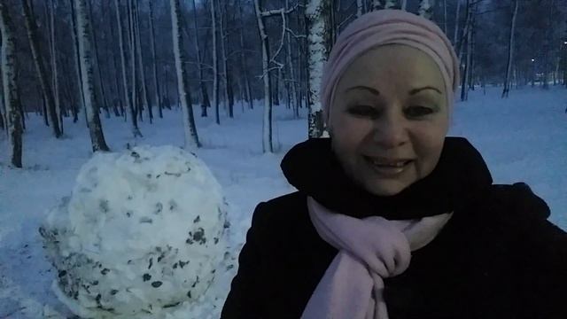 Снежный ком. Что нам готовит 2019 год? 22.12.2018 г.