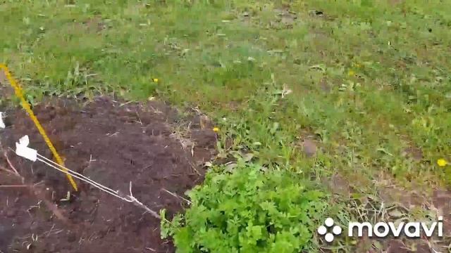 Салат Весенний. Барбекю. смотреть онлайн