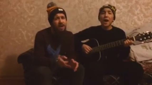 Домашние Котики очередные современные проблемы смотреть онлайн