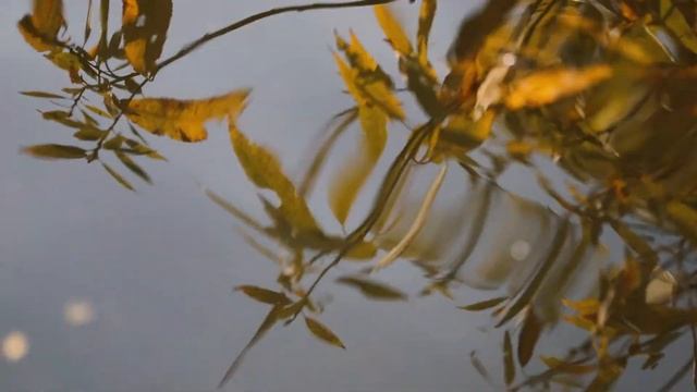 ШКОЛА ГРЕБЛИ Гомель Шведская Горка смотреть онлайн