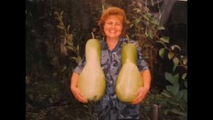 Волгоградские школьники подготовили мастер-класс по выращиванию и декорированию лагенарии для ребят