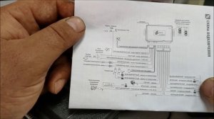 Alligator A-LIGHT обзор