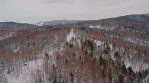 Зима в Белокурихе: забег на гору Церковка, Лебединый заказник в Алтайском крае, Белокуриха-2