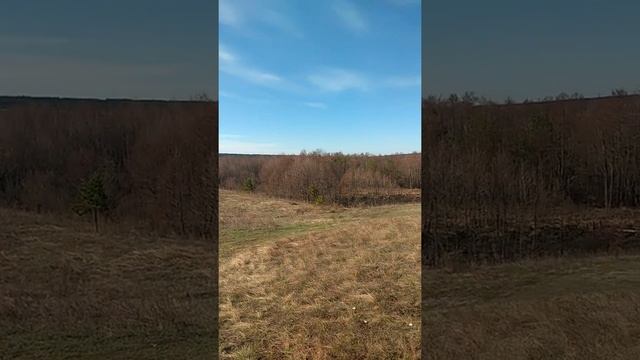 Пруд  и святой источник в Старой Рачейке