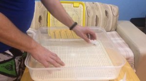 Обзор на инкубатор Janoel JN42 | Распаковка посылки от Минифермер