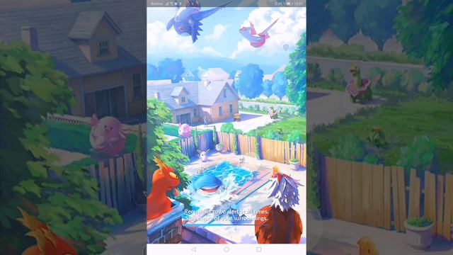 Totxip вернул свой аккаунт в покемонах???