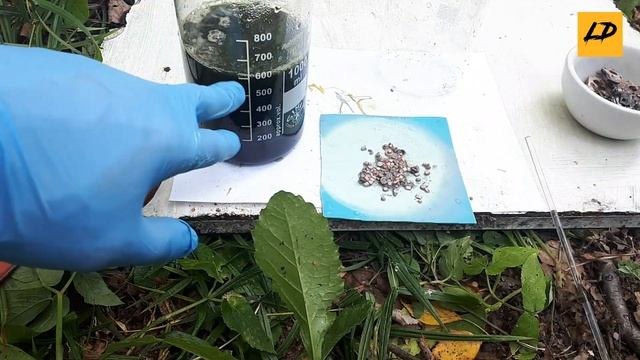 Серебро в контактах. Как снимает серебро азотная кислота. Опыт.