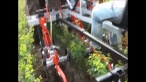 Культиватор для междурядной обработки в питомнике