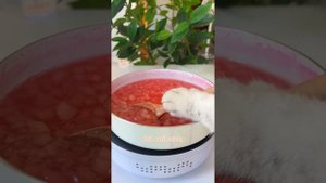 Chef Cat Brings The COOLEST SUMMER Food Collection! ?|Cat Cooking Food|Cute And Funny Cat