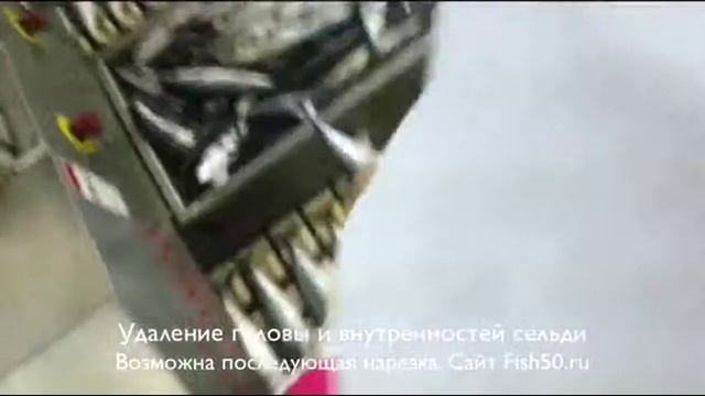 Линия нобинга сельди, скумбрии