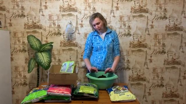 Какой выбрать грунт? Обзор грунтов для рассады