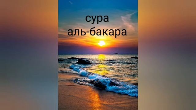 сура аль-бакара слушайте каждый день перед сном смотреть онлайн