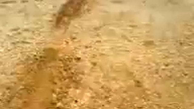 Застряли на скутере смотреть онлайн