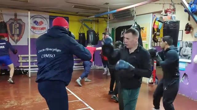 #лапы @ямолкин #гольцов смотреть онлайн